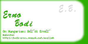 erno bodi business card